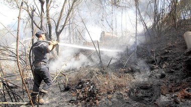 Décès du chef de la conservation des forêts à Oran: La cause, un barbecue