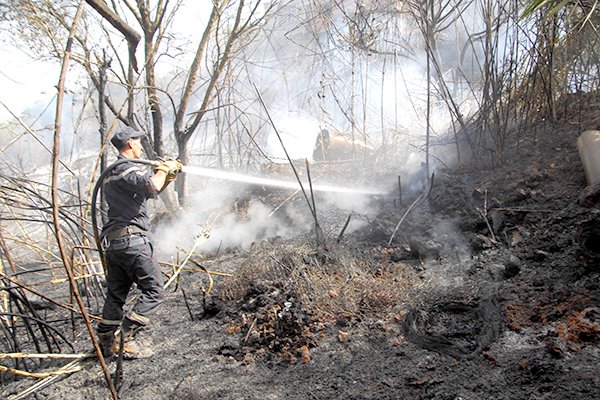 Décès du chef de la conservation des forêts à Oran: La cause, un barbecue