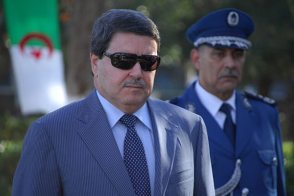 Abdelghani Hamel: “Crime Among Immigrants Is Not A Phenomenon”