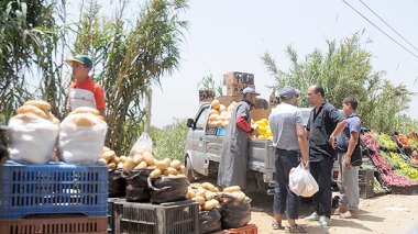 À quelques semaines de l’Aïd El Adha : Une  flambée des prix au rendez-vous