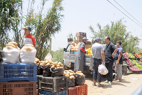 À quelques semaines de l’Aïd El Adha : Une  flambée des prix au rendez-vous