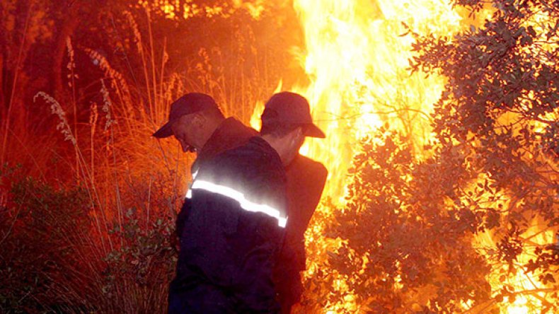 أسبوع ملتهب.. والنيران تزحف على 1500 هكتار خلال أسبوع