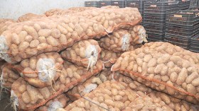 البطاطا بـ45 دينارا هذا الأسبوع!