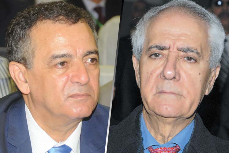 Temmar: « Si j’étais Bouchouareb, j’inviterais Rebrab à investir dans l’industrie lourde »