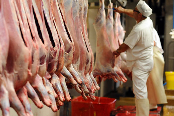 L’ambassadeur du Brésil à Alger: «Des abattoirs islamiques pour exporter les viandes aux Algériens»