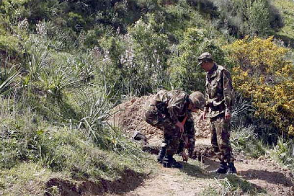 Tipaza/Bouira : Huit casemates pour terroristes