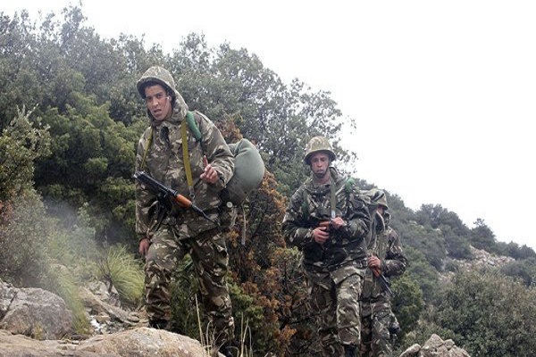 Tipaza:Un autre terroriste mis hors d’état de nuire