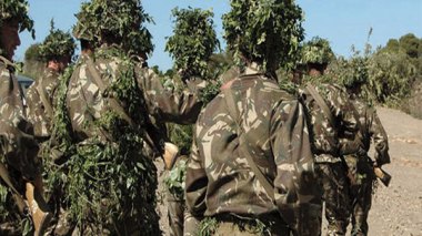 Tipaza : L’ANP détruit quatre bombes artisanales