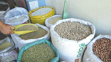 Vers la réduction des importations du lait, pomme de terre, des légumes secs…!