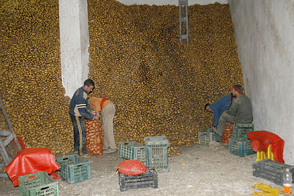 Boulenouar : « Les produits de consommations seront disponibles en abondance au Ramadan »