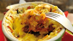 ﭬرتان بالدجاج