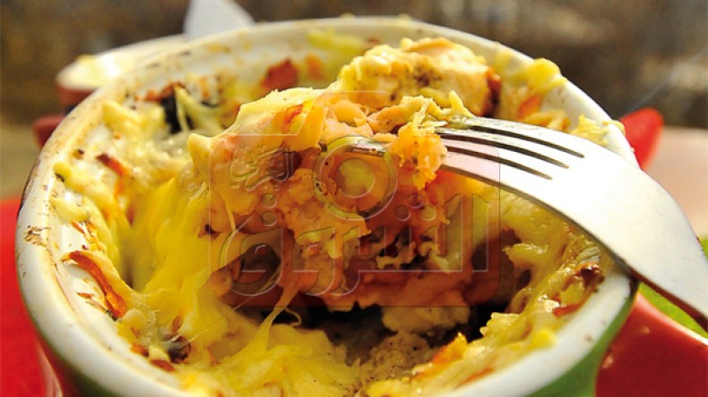 ﭬرتان بالدجاج