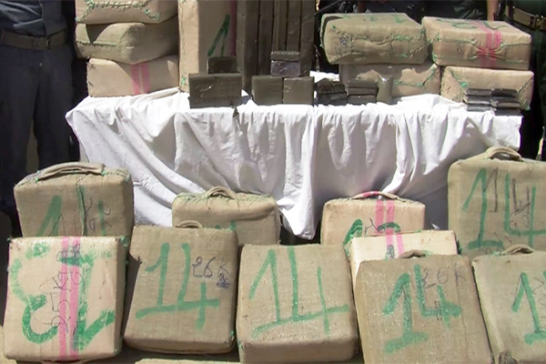 Opération d’envergure à Alger : Saisie de 15 quintaux de drogue ,5 barons arrêtés