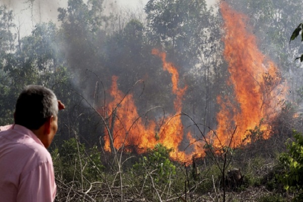 Tizi Ouzou :Le président Bouteflika ordonne l’indemnisation des victimes des incendies de