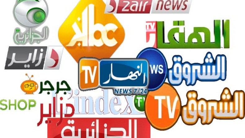 قرين: مصير القنوات الخاصة ستحدده سلطة ضبط السمعي البصري