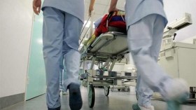 La grippe porcine tue une fillette à Médéa