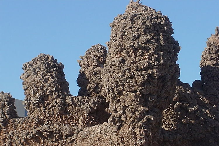 Italian group secures deal for largest tourism project in Algeria