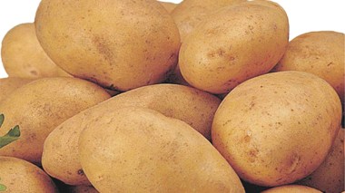 Ferroukhi :«Le refus des pays du Golfe de la pomme de terre algérienne n’est qu’un leurre»