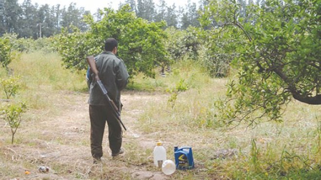 “باتريوت” البويرة في وقفة احتجاجية أمام مقر الولاية