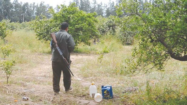 “باتريوت” البويرة في وقفة احتجاجية أمام مقر الولاية