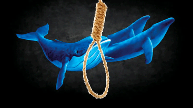 8 حالات لضحايا لعبة “الحوت الأزرق” بالطارف