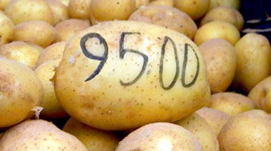 Le froid explose les prix des fruits et légumes !