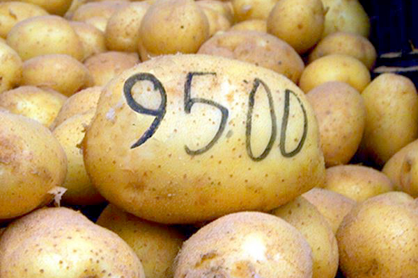 Le froid explose les prix des fruits et légumes !