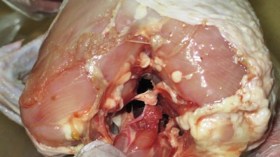 حجز 2.5 قنطار من الدجاج الفاسد بسطيف