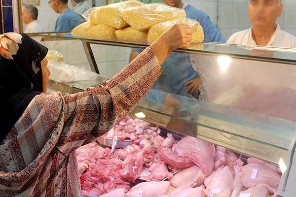 Le Mawlid booste les prix du poulet
