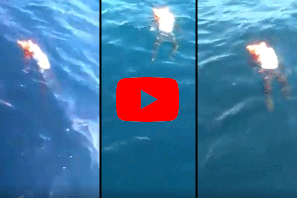 Mostaganem: Le corps d’un harrag rejeté par la mer