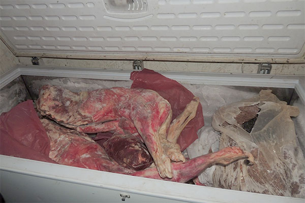 Tebessa : Saisie de 10 quintaux de viandes stockées dans des sanitaires