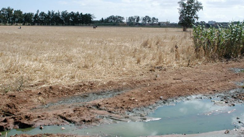 الدرك يوقف 5 فلاحين استخدموا المياه القذرة لسقي أراضيهم