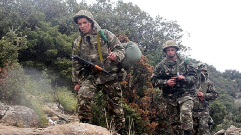 توقيف 17 عنصرا لدعم الإرهاب بتيسمسيلت