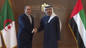 وزير الخارجية الإماراتي: 30 ألف جزائري مقيم بالإمارات