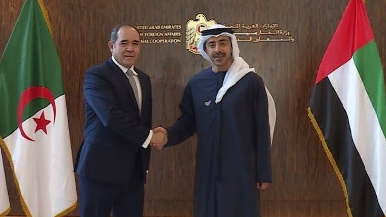 وزير الخارجية الإماراتي: 30 ألف جزائري مقيم بالإمارات