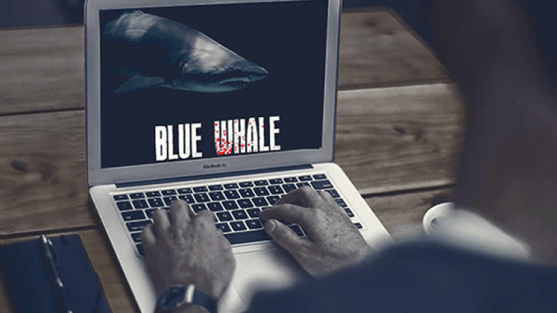 الحوت الأزرق والقرش الأبيض!