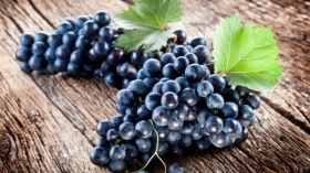 العنب الأسود ينظم الدورة الدموية ويهدئ الأعصاب