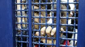 إسرائيل تصدر قائمة بأسماء 199 فلسطينيا سيطلق سراحهم