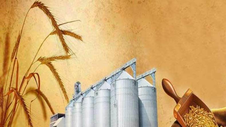 غلق المطاحن متواصل بهدف تطهير القطاع