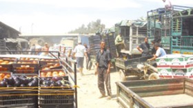 المطاحن الكبرى “دحماني” تنشئ سوق جملة ببومرداس يخلق 5 آلاف منصب شغل و600 متجر