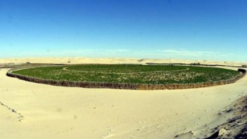 هولندا مهتمة بتطوير الاستثمار الفلاحي في الوادي