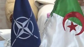 الناتو: الجزائر شريك أمني هام في حوض المتوسط