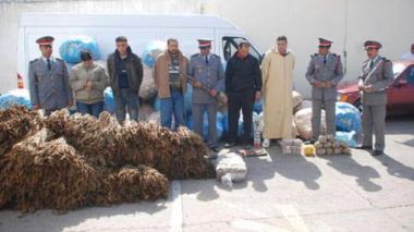 G﻿﻿﻿﻿﻿uerre secrète des renseignements marocains contre l’Algérie : le Makhzen et l’alliance du terrorisme avec la mafia de la drogue (11e partie)