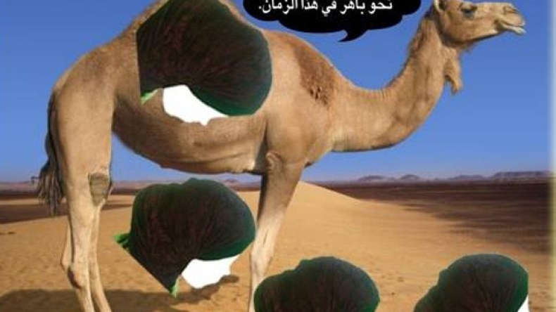 موضة “أسنمة البخت” تغزو رؤوس الجزائريات