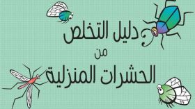 تخلّصي من الحشرات المنزلية بهذه الطرق؟
