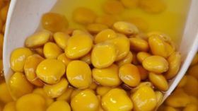 15 حبة ترمس يوميا تفعل العجب في أجساد النساء!