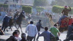 زيدان قنائي للشروق:”ميليشيات مبارك تعطل حركة النقل إلى القاهرة”