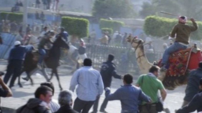 زيدان قنائي للشروق:”ميليشيات مبارك تعطل حركة النقل إلى القاهرة”