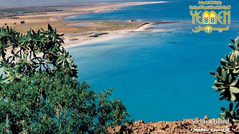 دخول جزيرة سقطري اليمنية المنافسة على عجائب الدنيا السبع الطبيعية