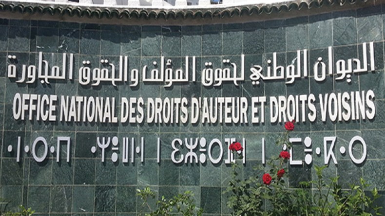 قانون حماية المؤلف تجاوزه الزمن ويجب مراجعة تسجيل براءات الإختراع